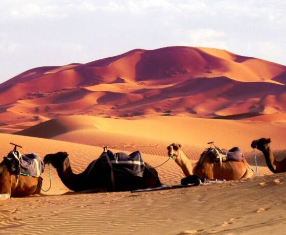 Private Marrakech to Fes desert tour