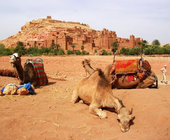 Kasbah Ait ben haddou in Ouarzazate